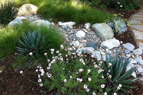 pebbles in garden